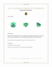 0.94 Ct. Emerald from Zambia Appraisal