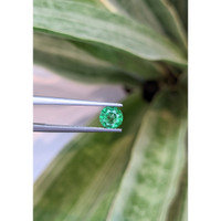 0.93 Ct. Emerald from Zambia Life Style