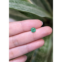 0.93 Ct. Emerald from Zambia Life Style