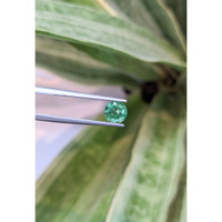 1.07 Ct. Emerald from Zambia Life Style