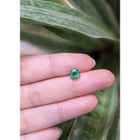 1.07 Ct. Emerald from Zambia Life Style
