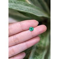 0.91 Ct. Emerald from Zambia Life Style