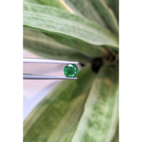 0.92 Ct. Emerald from Zambia Life Style