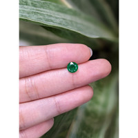 0.92 Ct. Emerald from Zambia Life Style