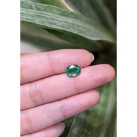 1.78 Ct. Emerald from Zambia Life Style