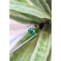 1.78 Ct. Emerald from Zambia Life Style
