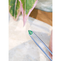 0.62 Ct. Emerald from Zambia Life Style