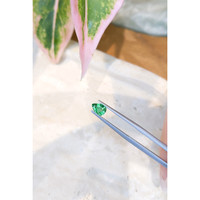 0.63 Ct. Emerald from Zambia Life Style