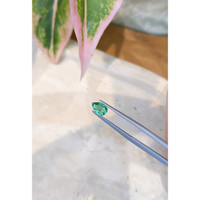 0.63 Ct. Emerald from Zambia Life Style