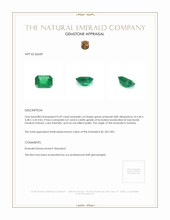 0.69 Ct. Emerald from Zambia Appraisal