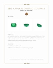 0.69 Ct. Emerald from Zambia Appraisal