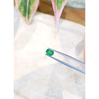 0.69 Ct. Emerald from Zambia Life Style