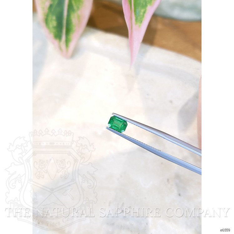 0.69 Ct. Emerald from Zambia