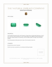 0.89 Ct. Emerald from Zambia Appraisal