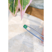 0.89 Ct. Emerald from Zambia Life Style