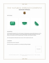 0.95 Ct. Emerald from Zambia Appraisal