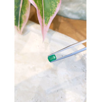 0.95 Ct. Emerald from Zambia Life Style