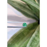 0.57 Ct. Emerald from Zambia Life Style