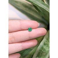 0.57 Ct. Emerald from Zambia Life Style