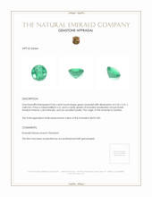 0.66 Ct. Emerald from Zambia Appraisal