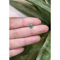 0.66 Ct. Emerald from Zambia Life Style