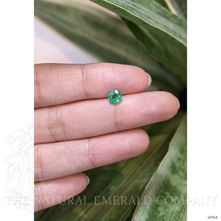 0.66 Ct. Emerald from Zambia