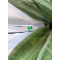 0.66 Ct. Emerald from Zambia Life Style