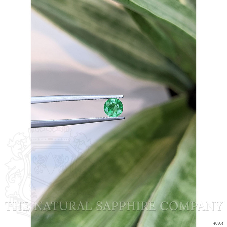 0.66 Ct. Emerald from Zambia