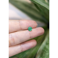 0.69 Ct. Emerald from Zambia Life Style