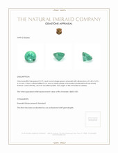 0.72 Ct. Emerald from Zambia Appraisal