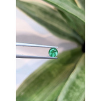 0.65 Ct. Emerald from Zambia Life Style