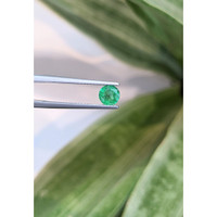 0.55 Ct. Emerald from Zambia Life Style