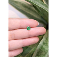0.56 Ct. Emerald from Zambia Life Style