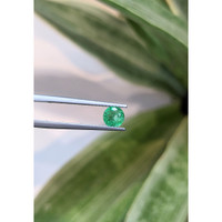 0.56 Ct. Emerald from Zambia Life Style