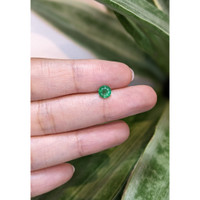 0.58 Ct. Emerald from Zambia Life Style