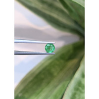 0.58 Ct. Emerald from Zambia Life Style