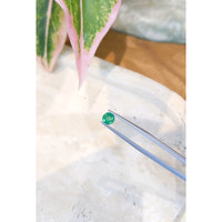 0.52 Ct. Emerald from Zambia Life Style