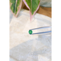 0.55 Ct. Emerald from Zambia Life Style