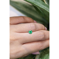 0.59 Ct. Emerald from Zambia Life Style