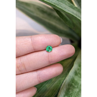 0.59 Ct. Emerald from Zambia Life Style