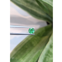 0.59 Ct. Emerald from Zambia Life Style