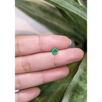 0.59 Ct. Emerald from Zambia Life Style