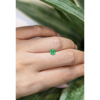 0.59 Ct. Emerald from Zambia Life Style