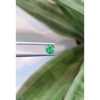 0.59 Ct. Emerald from Zambia Life Style
