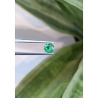 0.57 Ct. Emerald from Zambia Life Style