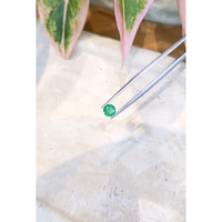 0.67 Ct. Emerald from Zambia Life Style