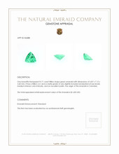 0.71 Ct. Emerald from Colombia Appraisal