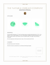 1.37 Ct. Emerald from Colombia Appraisal