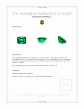 2.49 Ct. Emerald from Zambia Appraisal