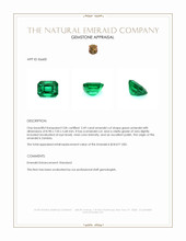 2.49 Ct. Emerald from Zambia Appraisal
